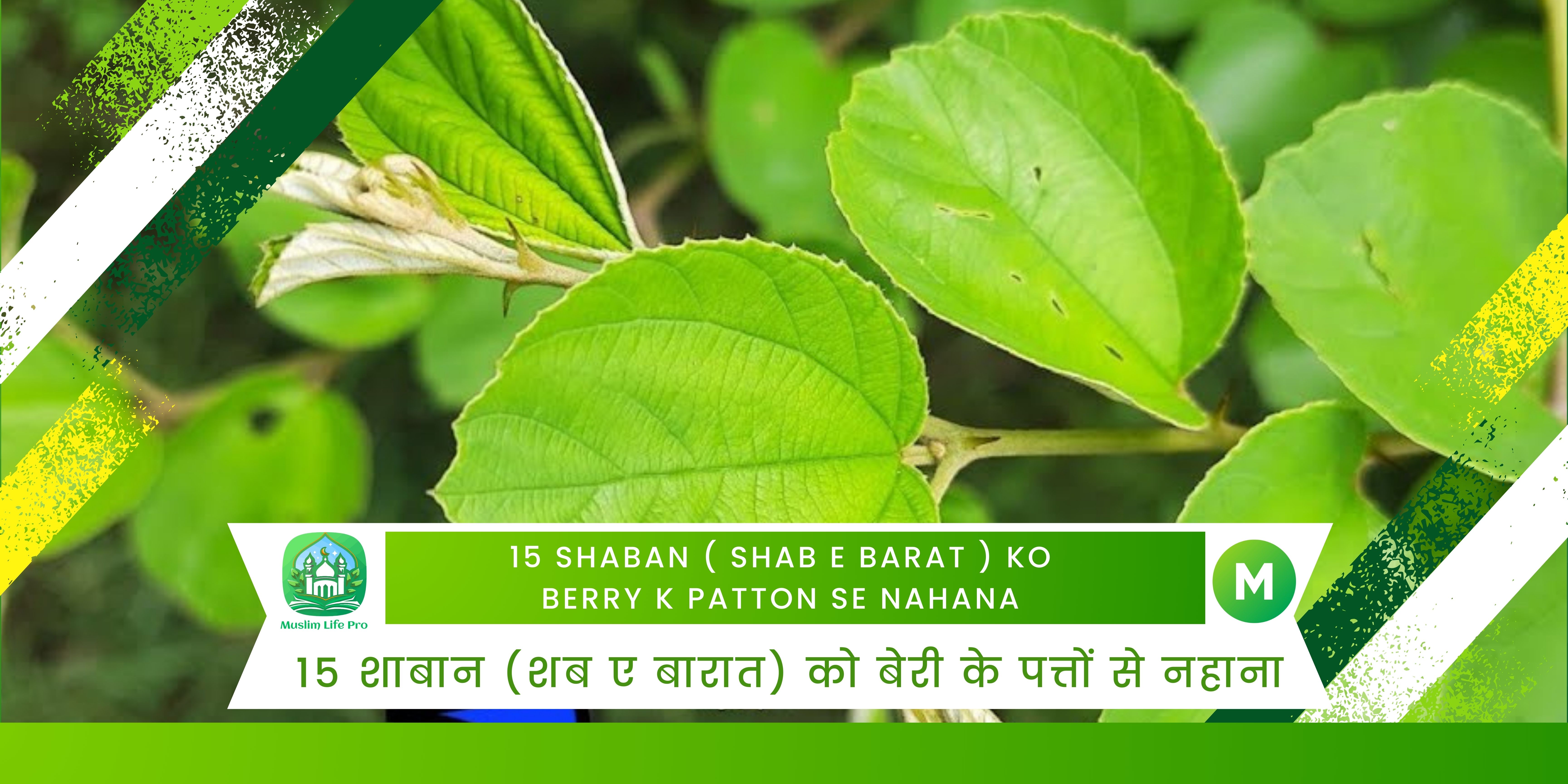 15 Shaban ( Shab e Barat ) Ko Berry K Patton Se Nahana / 15 शाबान (शब ए बारात) को बेरी के पत्तों से नहाना