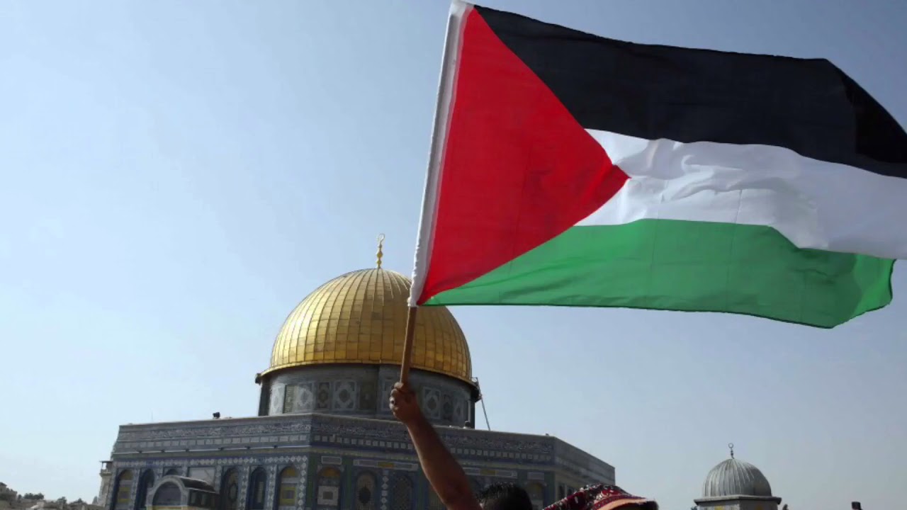 Ana Dammi Falastini | एना दम्मी फ़लास्टिनी