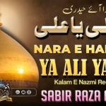 Jis Ke Hathon Mein Hai Zulfiqar-e-Nabi | Nara-e-Haidari Ya Ali Ya Ali / जिस के हाथों में है ज़ुल्फ़िक़ार-ए-नबी | नारा-ए-हैदरी या अली या अली