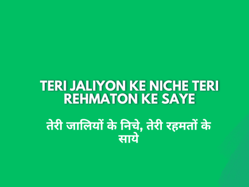 Teri Jaliyon Ke Niche Teri Rehmaton Ke Saye / तेरी जालियों के निचे, तेरी रहमतों के साये