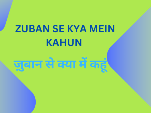 Zuban se kya mein kahun / ज़ुबान से क्या में कहूं