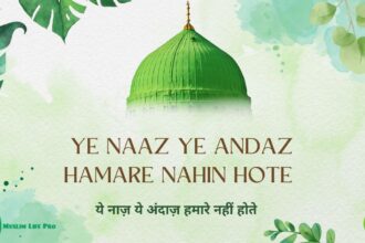 Ye Naaz Ye Andaz Hamare Nahin Hote / ये नाज़ ये अंदाज़ हमारे नहीं होते
